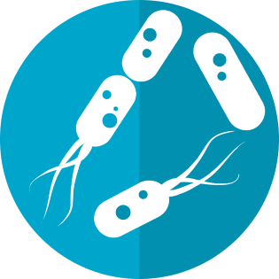 Illustratie van Chlamydia-bacterieen