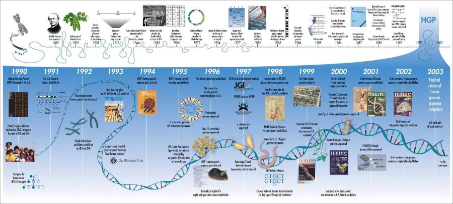 Human Genome Project