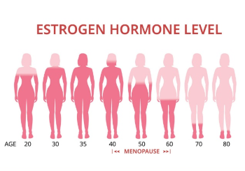 Oestrogeenniveau per leeftijd vrouw