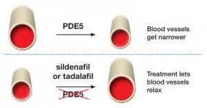 PDE5 illustratie