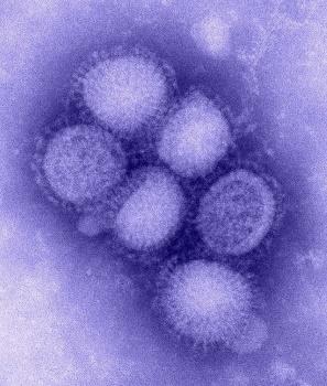 Spaanse Griep Virus