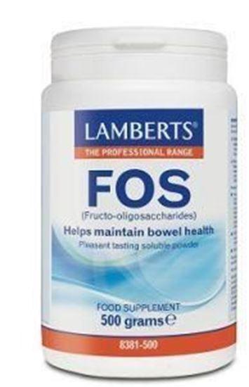 Afbeelding van Lamberts FOS poeder 500g