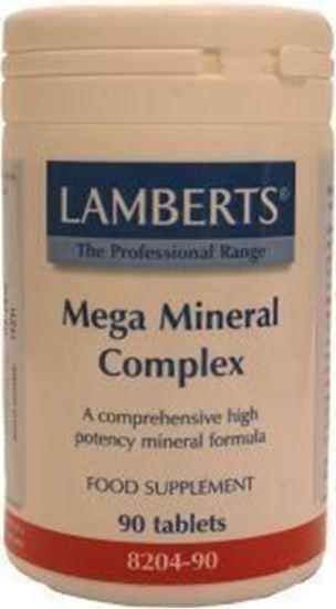 Afbeelding van Lamberts Mega mineral complex