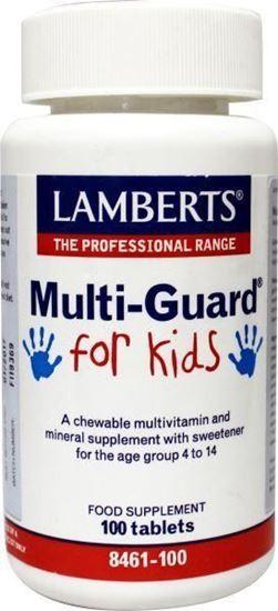 Afbeelding van Lamberts Multi guard for kids (playfair)