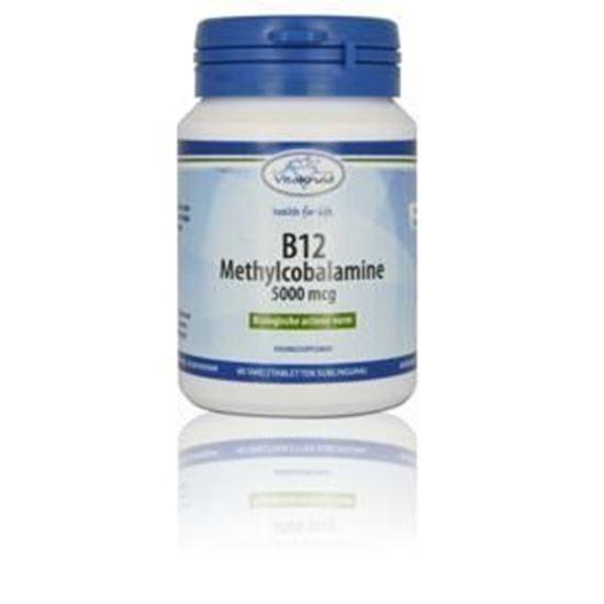 Afbeelding van Vitakruid B12 Methylcobalamine 5000 mcg