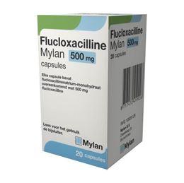 Flucloxacilline 500mg 20caps