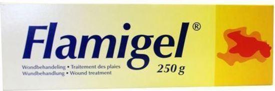 Flamigel Hydroactieve wondgel