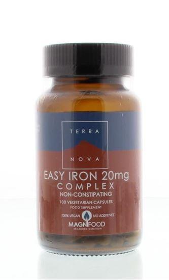 Terranova Easy iron 20 mg complex