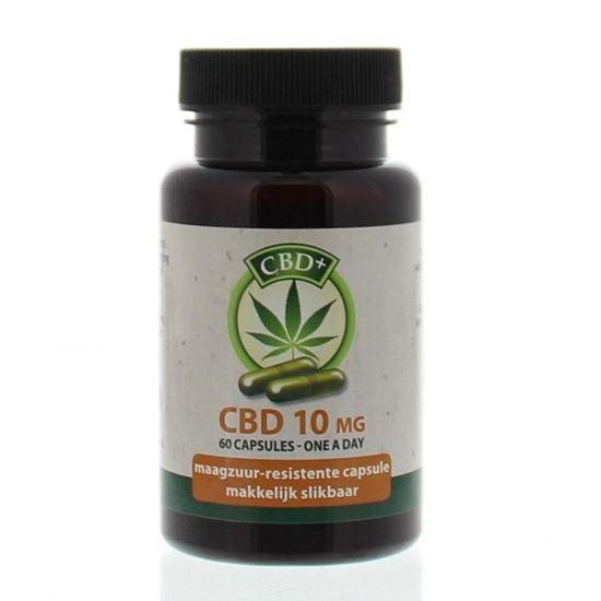 Jacob Hooy CBD Plus Capsules 10% 60caps