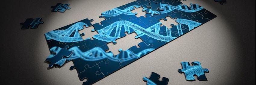 Een DNA-test kopen, waar moet ik op letten?