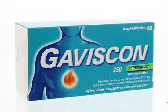 Gaviscon Pepermunt 250 48 Kauwtabletten