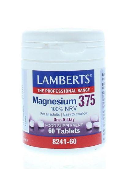 Lamberts Magnesium 375 60 Tabletten