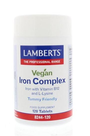 Lamberts IJzer complex vegan 120 Tabletten