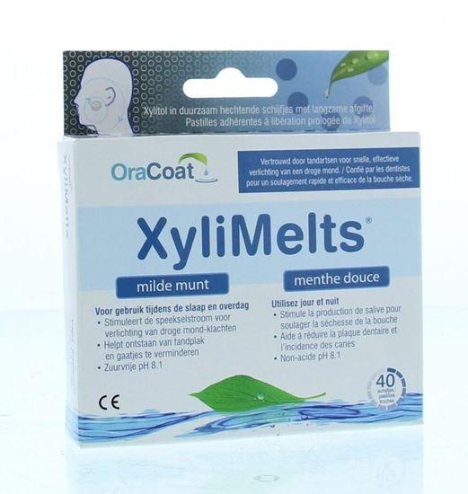 Xylimelts Milde munt 40 Stuks