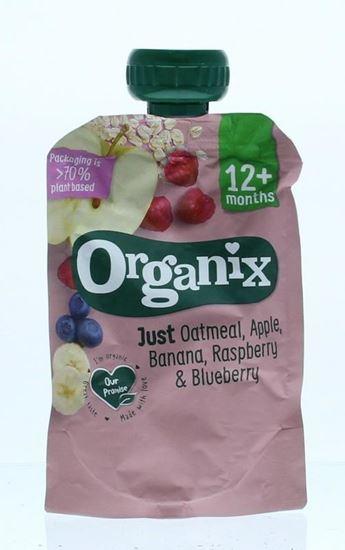 Organix Just Oatmeal apple banana raspberry blueberry 12+ bio 100 Gram