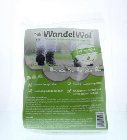 Wandelwol Antidruk-wol 10 Gram