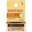 Burts Bees Lip scrub conditioning 7 Gram