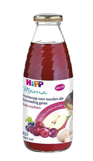 Hipp Mama sap bio 500 Milliliter