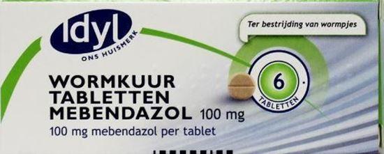 Idyl wormkuurtabletten 100mg 6tb