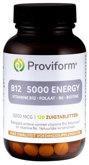 Proviform Vitamine B12 5000mg energy 120 Zuigtabletten