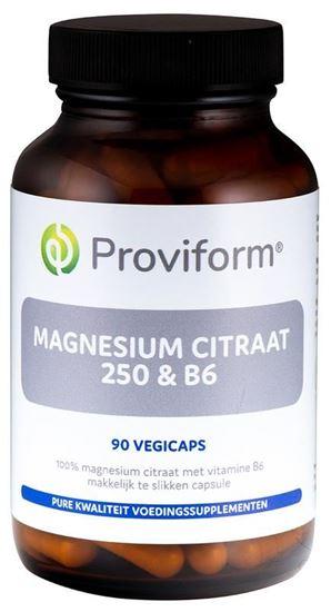 Proviform Magnesium citraat 250 & B6 90 Vegetarische capsules