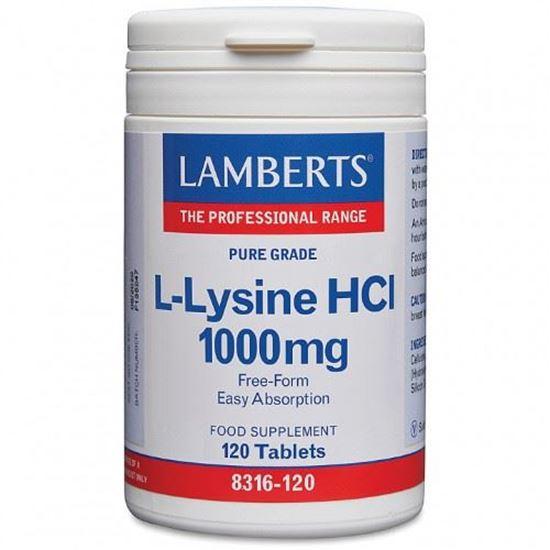 Lamberts L lysine 1000mg L8316 120 120 Tabletten