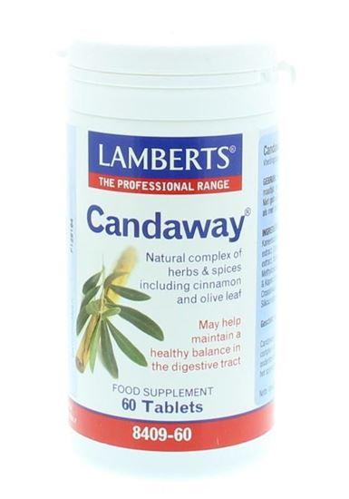 Lamberts Candaway 60 Tabletten